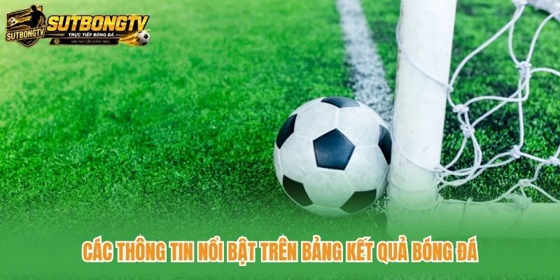 Các thông tin nổi bật trên bảng kết quả bóng đá