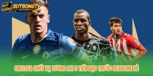 Chelsea Chốt Hạ Tương Lai 3 Tiền Đạo Trước Deadline Hè