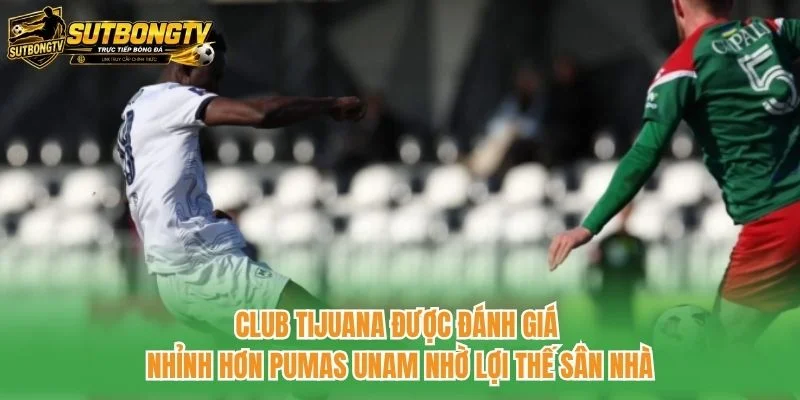 Club Tijuana được đánh giá nhỉnh hơn Pumas UNAM nhờ lợi thế sân nhà