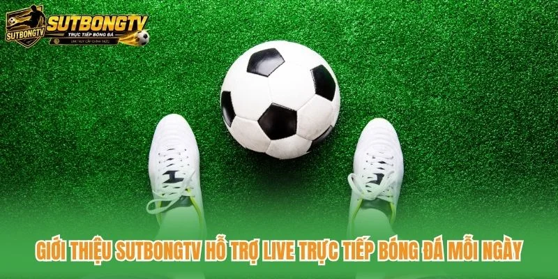 Giới thiệu SutbongTV hỗ trợ live trực tiếp bóng đá mỗi ngày