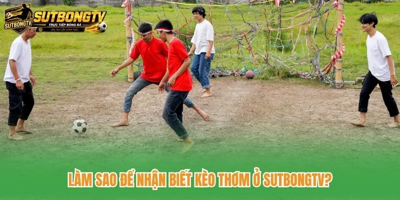 Làm sao để nhận biết kèo thơm ở SutbongTV?
