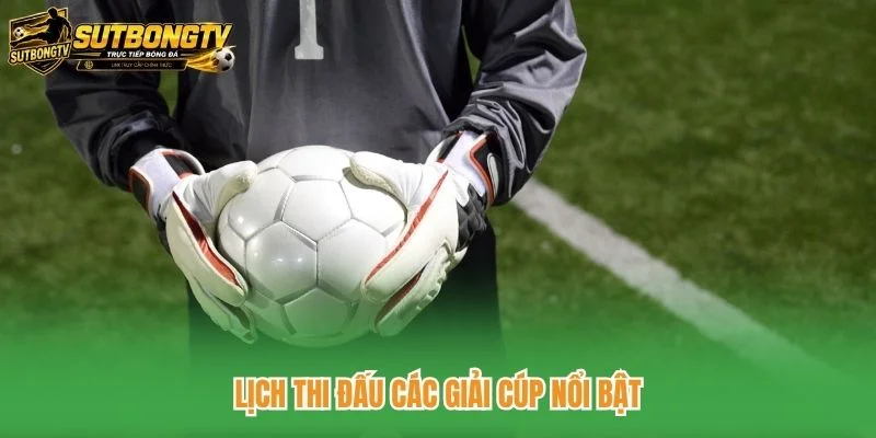 Lịch thi đấu các giải cúp nổi bật