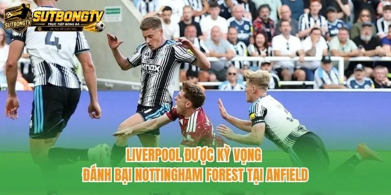 Liverpool được kỳ vọng đánh bại Nottingham Forest tại Anfield Liverpool được kỳ vọng đánh bại Nottingham Forest tại Anfield