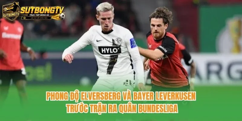 Phong độ Elversberg và Bayer Leverkusen trước trận ra quân Bundesliga