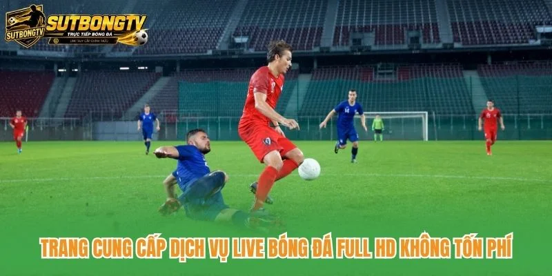 Trang cung cấp dịch vụ live bóng đá full HD không tốn phí